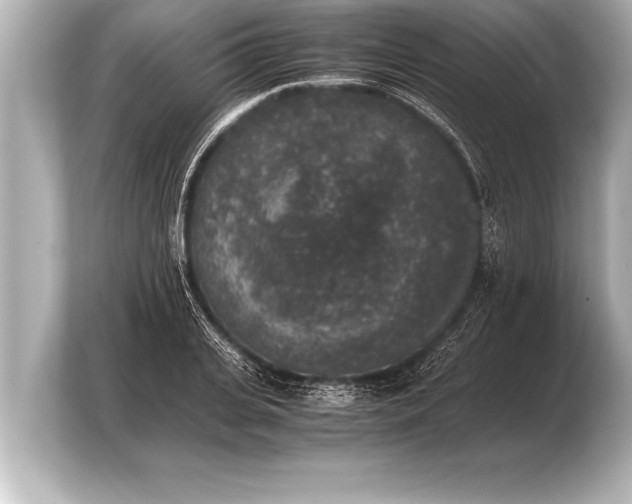 X0000103960935200810031201