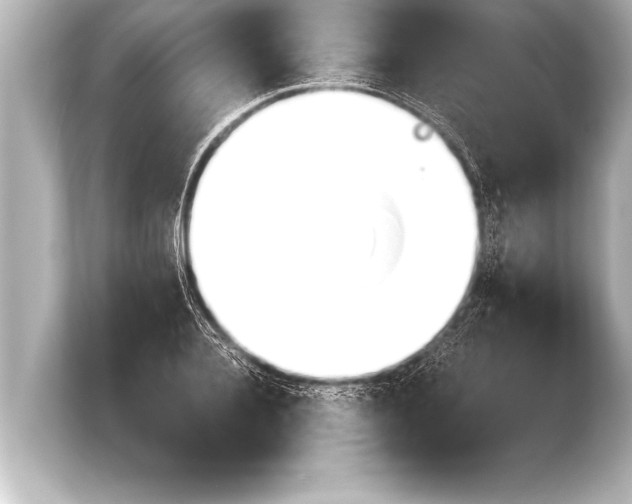 X0000103960936200810031201