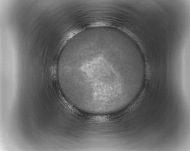 X0000103960937200810031201
