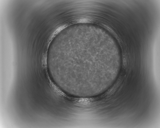X0000103960938200810031201
