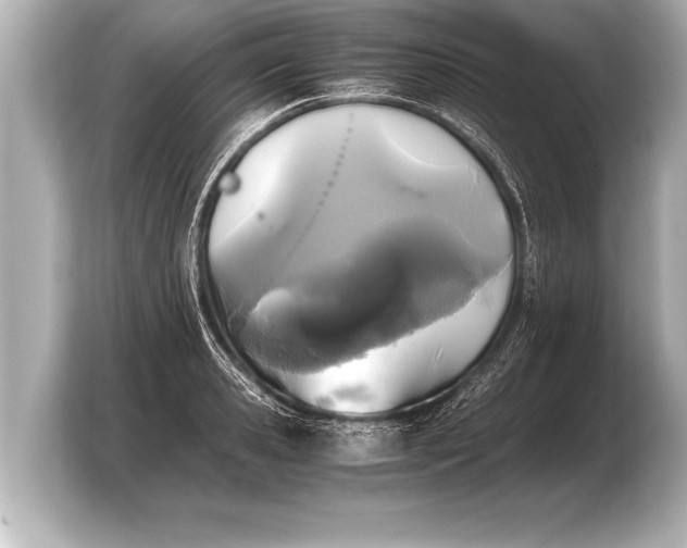X0000103960941200810031201