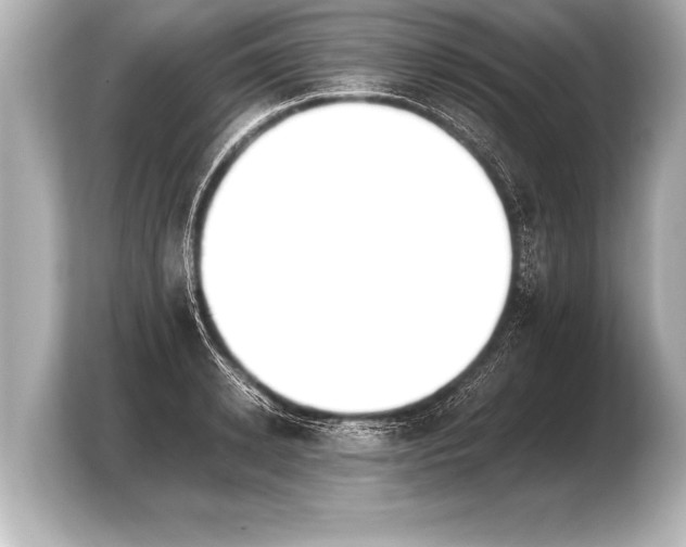 X0000103960942200810031201