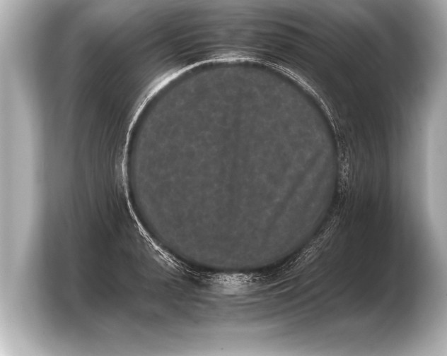 X0000103960943200810031201