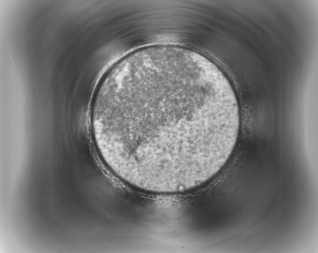 X0000103960944200810031201