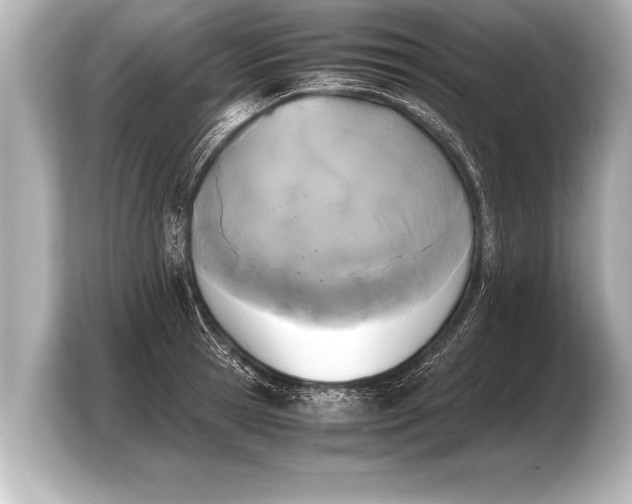 X0000103960945200810031201