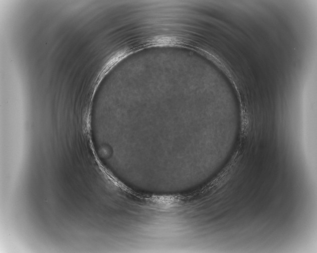 X0000103960946200810031201