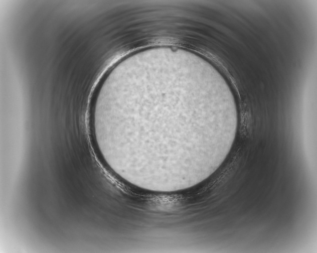 X0000103960947200810031201