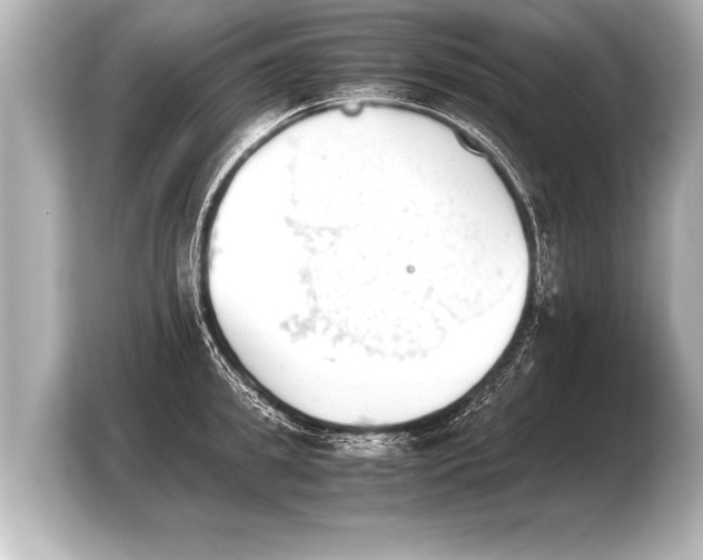 X0000103960949200810031201