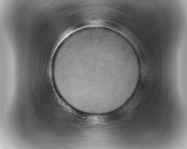 X0000103960950200810031201