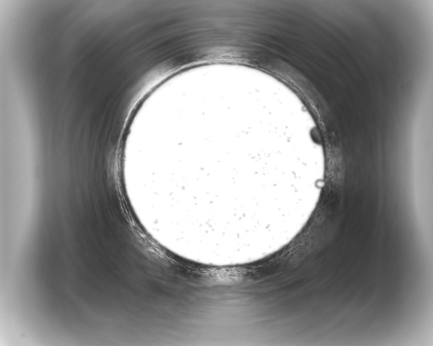 X0000103960952200810031201