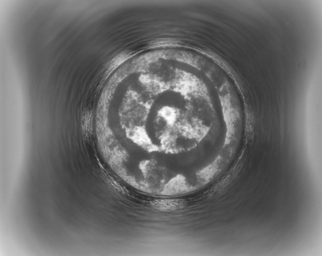 X0000103960953200810031201