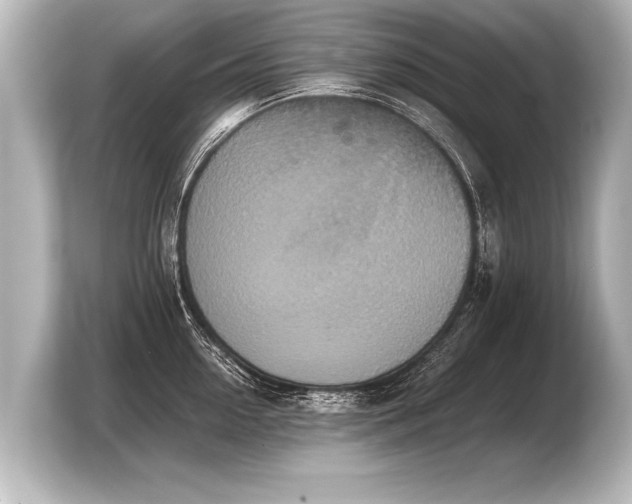 X0000103960954200810031201