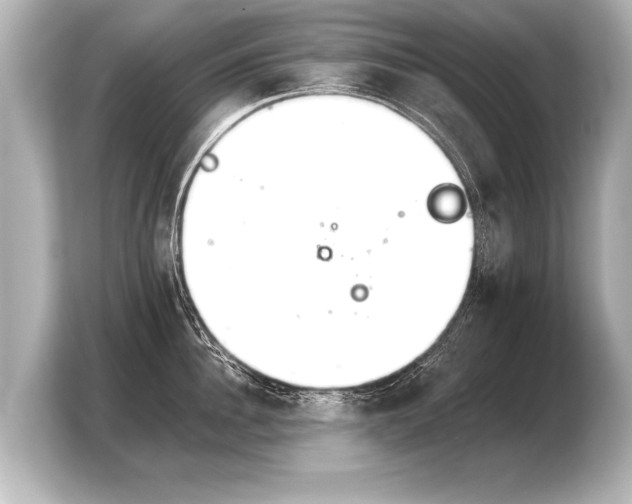 X0000103960956200810031201