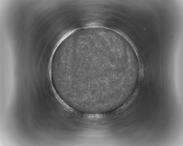 X0000103960957200810031201