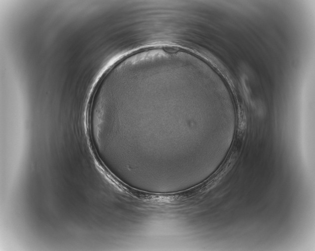 X0000103960958200810031201