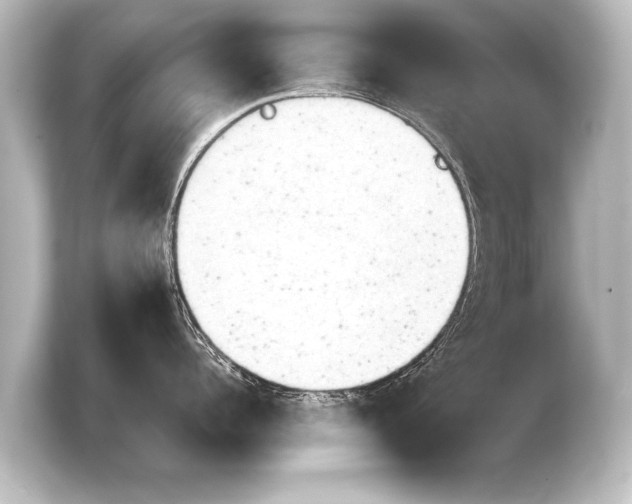 X0000103960960200810031201