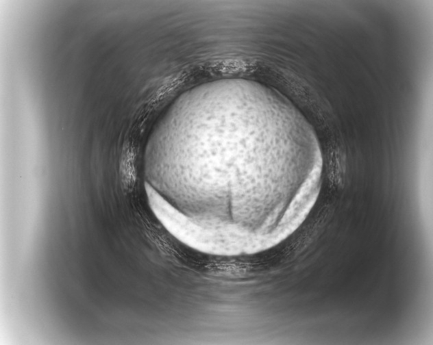 X0000103960962200810031201