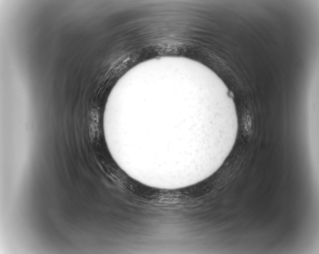 X0000103960964200810031201