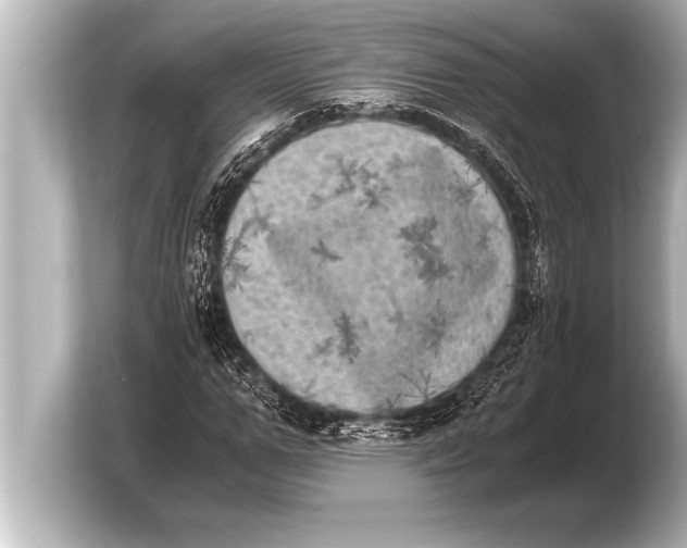 X0000103960967200810031201