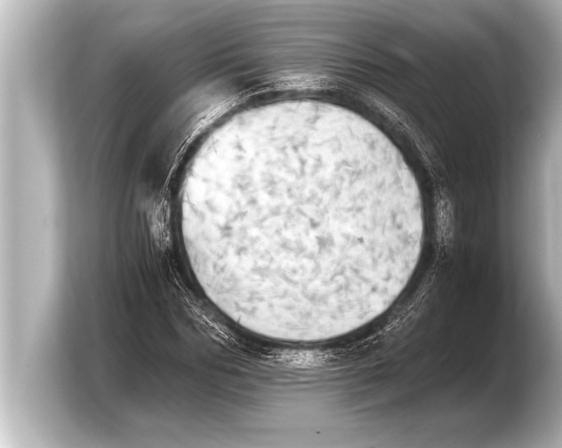 X0000103960970200810031200