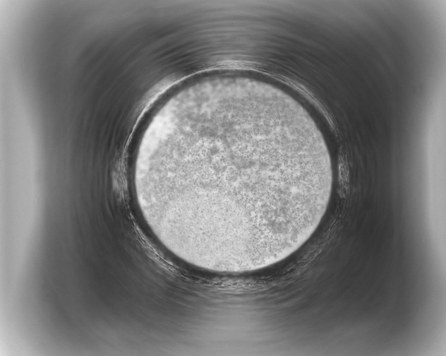 X0000103960972200810031200