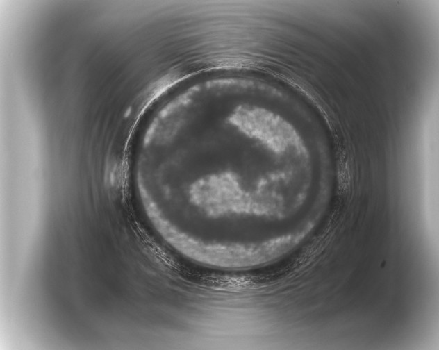 X0000103960975200810031200