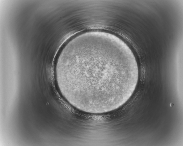 X0000103960976200810031200