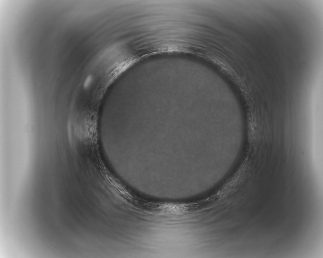 X0000103960977200810031200