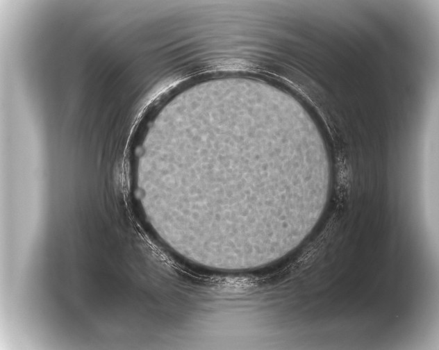 X0000103960979200810031200