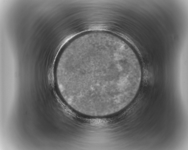 X0000103960980200810031200