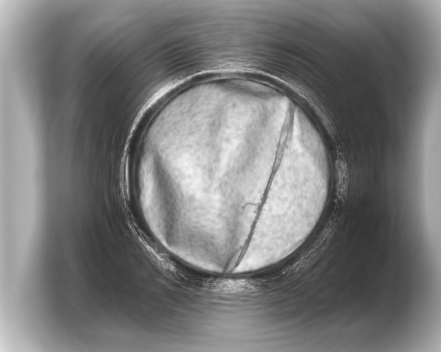 X0000103960982200810031200