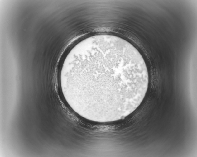 X0000103960984200810031200