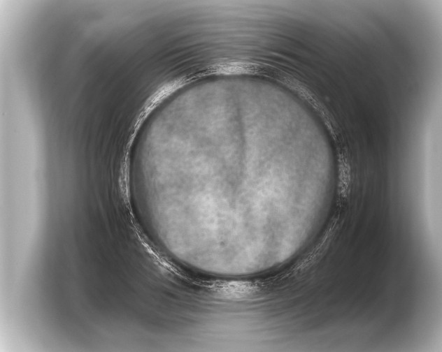 X0000103960986200810031200