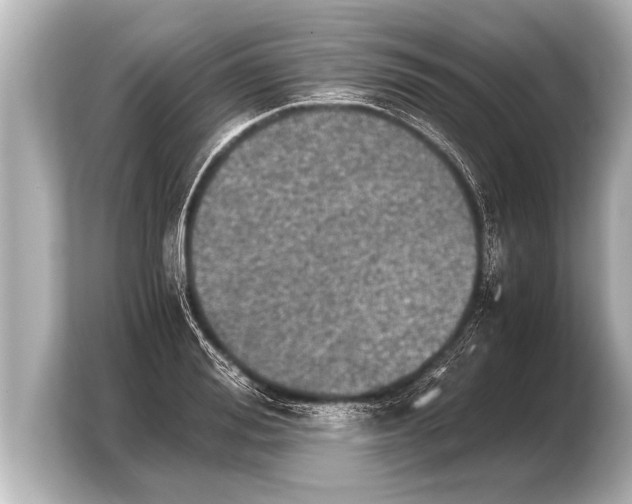 X0000103960988200810031200