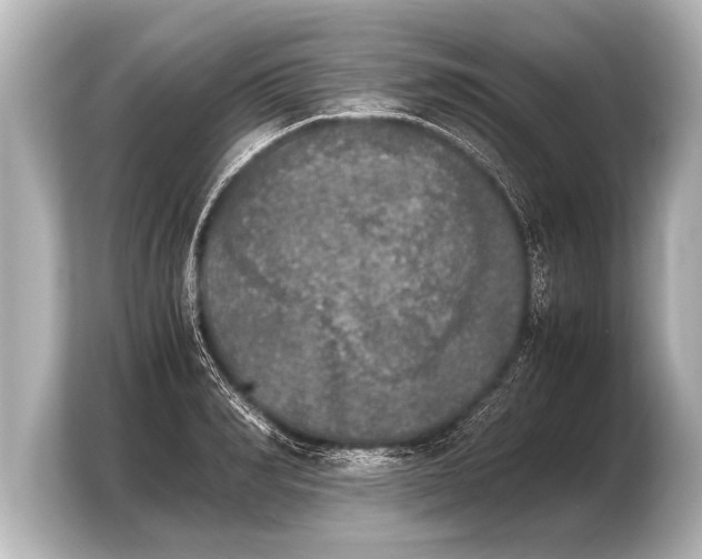 X0000103960990200810031200