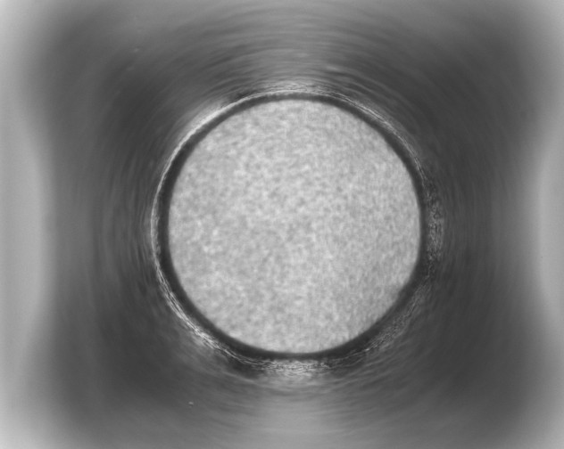 X0000103960991200810031200