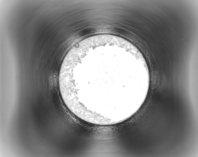 X0000103960993200810031200