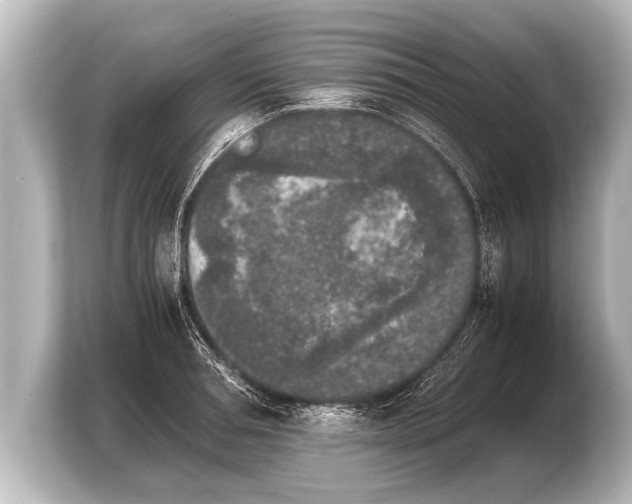 X0000103960994200810031200