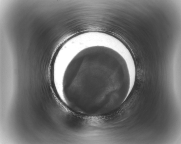 X0000103960995200810031200