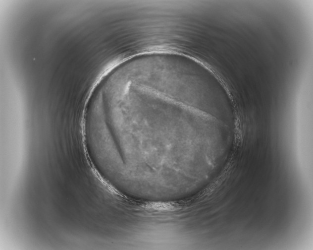 X0000103960998200810031200
