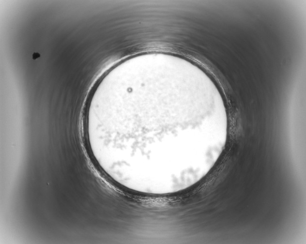 X0000103960999200810031200