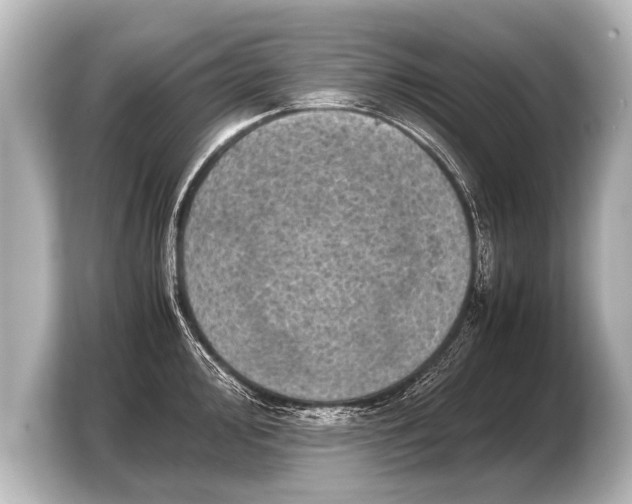 X0000103961000200810031200