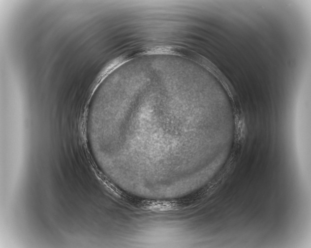 X0000103961002200810031200