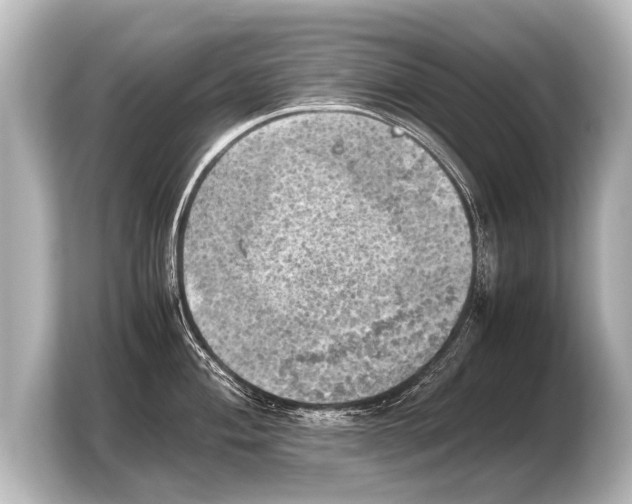 X0000103961004200810031200