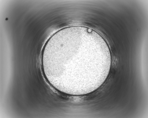 X0000103961005200810031200