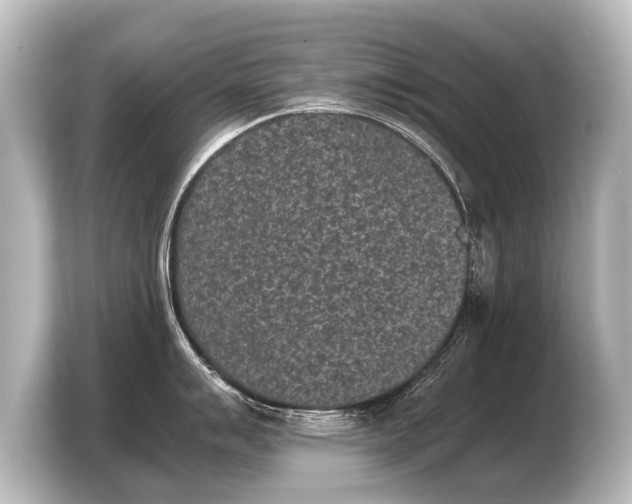 X0000103961007200810031200
