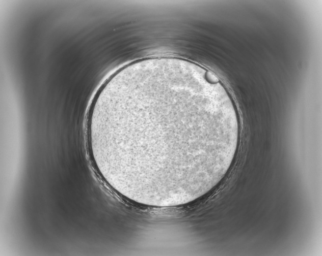 X0000103961008200810031200