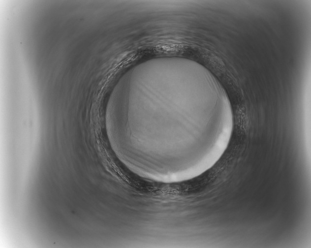 X0000103961009200810031159