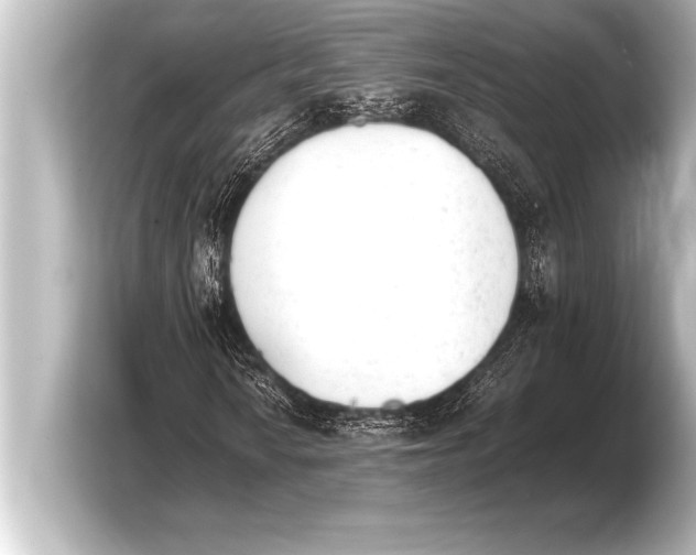 X0000103961010200810031159