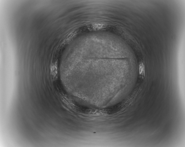 X0000103961011200810031159